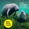 Wildlife Photographer of the Year Diary 2027