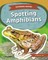 Spotting Amphibians
