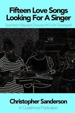 Fifteen Love Songs Looking For A Singer Seventeen Wayward Choruses Yet To Be Developed
