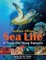Southern African Sea Life - A Guide for Young Explorers