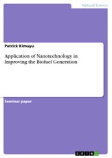 Application of Nanotechnology in Improving the Biofuel Generation
