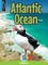 Atlantic Ocean