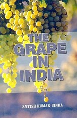 The Grape in India