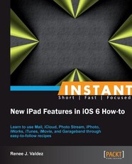 The New Ipad