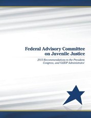 Federal Advisory Committee on Juvenile Justice