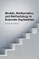 Models, Mathematics, and Methodology in Economic Explanation