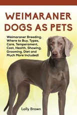 Weimaraner Dogs as Pets