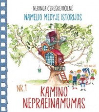 Namelio medyje istorijos: kamino nepraeinamumas