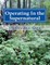 Operating In the Supernatural