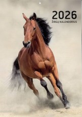 Sieninis kalendorius 2026. Žirgai