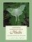 Pheromone Communication in Moths