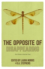 The Opposite of Disappearing