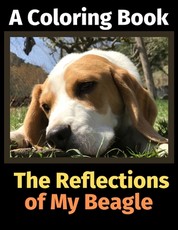 The Reflections of My Beagle