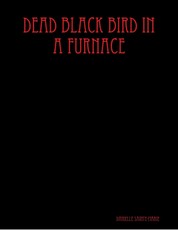 Dead Black Bird In a Furnace