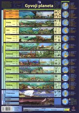 Gyvoji planeta. Geochronologinė lentelė (A 4)