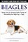 Beagles - The Owner's Guide from Puppy to Old Age - Choosing, Caring for, Grooming, Health, Training and Understanding Your Beagle Dog or Puppy