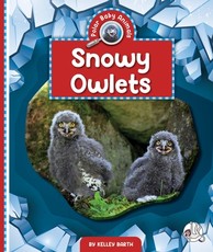 Snowy Owlets