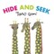 Hide and Seek