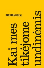 KAI MES TIKĖJOME UNDINĖMIS. Išskirtinė knygos.lt kolekcija 66/100