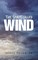 Ogiamien, E: Spirit Called Wind