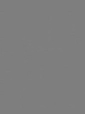 Spalvotas kartonas A1/160g pilkas