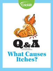 What Causes Itches?