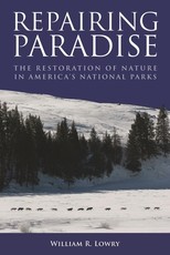 Repairing Paradise