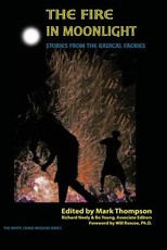 The Fire in Moonlight