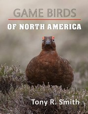 Game Birds of North America
