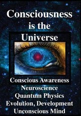 Consciousness is the Universe