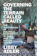 Governing the Terrain Called Beauty