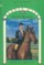 Show Horse