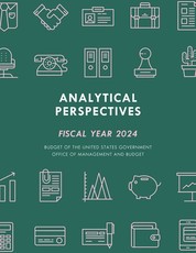 Analytical Perspectives