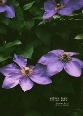 Autumn, Again; Spring, Anew