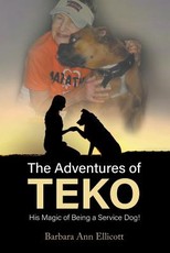 The Adventures of TEKO