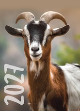 Plėšomas sieninis kalendorius „Visiems“ 2027
