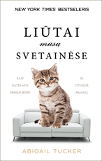 Liūtai mūsų svetainėse: kaip katės mus prisijaukino ir užvaldė pasaulį
