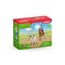 SCHLEICH FARM WORLD Raitelė ant žirgo su veršiuku