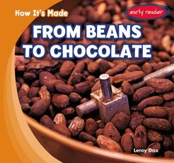 From Beans to Chocolate