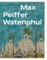 Max Peiffer Watenphul