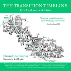 The Transition Timeline