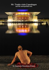 Mr. Trunk visits Copenhagen