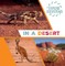 In a Desert