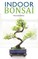 Indoor Bonsai