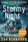 Stormy Night - Large Print Edition