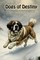 Dogs of Destiny