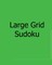 Large Grid Sudoku