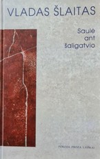 Saulė ant šaligatvio