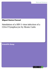 Simulation of a HIV-1 virus infection of a CD4+T lymphocyte by Monte Carlo