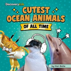 Cutest Ocean Animals of All Time
